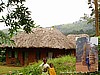 Grass Roofing Material (Photo: Njei M.T)